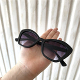2019 Cat Eye Sun Glasses Colour Trend Sunglasses Street Fashion Women Vacation Beach Sunglasses
